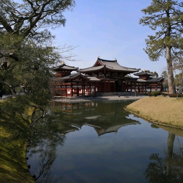 Day trip from Kyoto 🍵