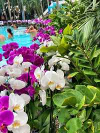 Therme Bucharest water park 🗺️