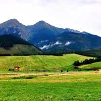 Along the way to Tatra mountain ⛰️ 