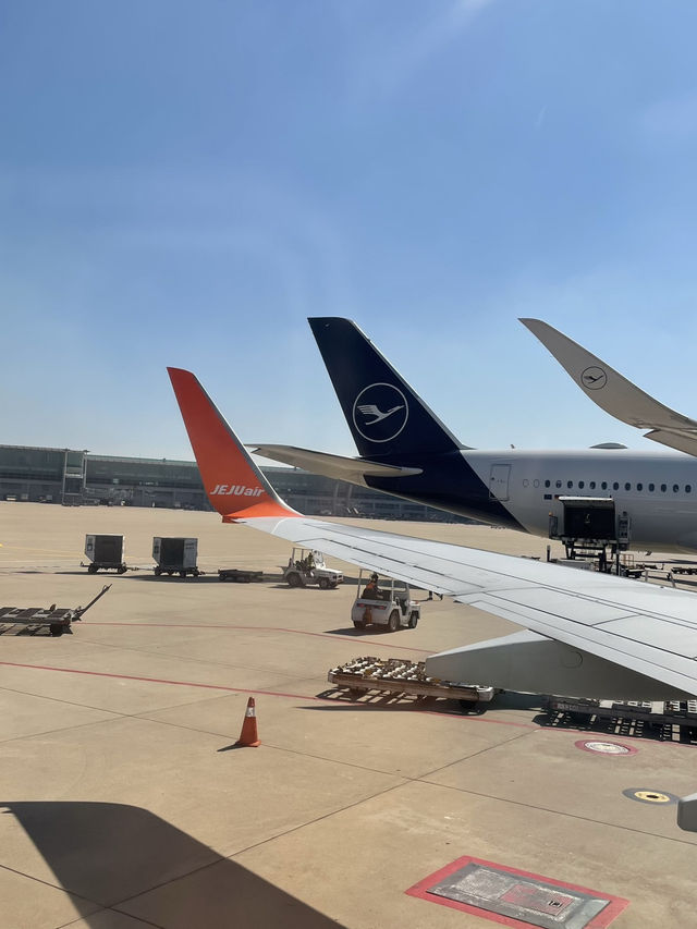 여행의 시작은 공항✈️