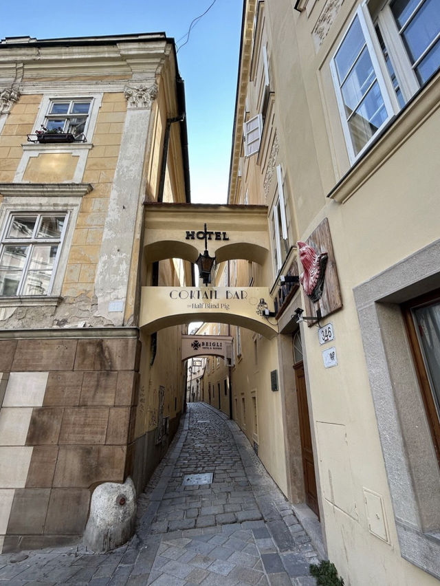 Bratislava is beautiful 🏙️