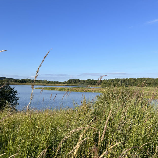 A piece of tranquility right next to the M6