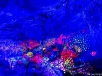 ท่องดินแดนมหัศจรรย์ใต้พิภพในถ้ำ Cave of Han