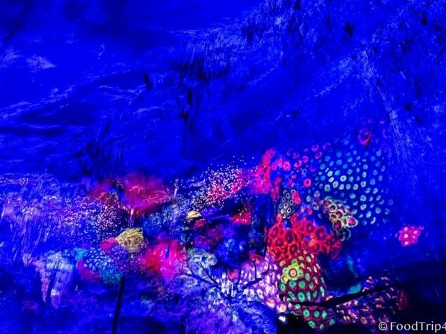 ท่องดินแดนมหัศจรรย์ใต้พิภพในถ้ำ Cave of Han