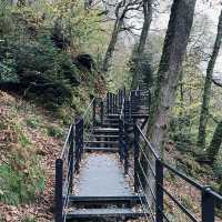 Chasing Waterfalls: A Scenic Drive to Aira Force
