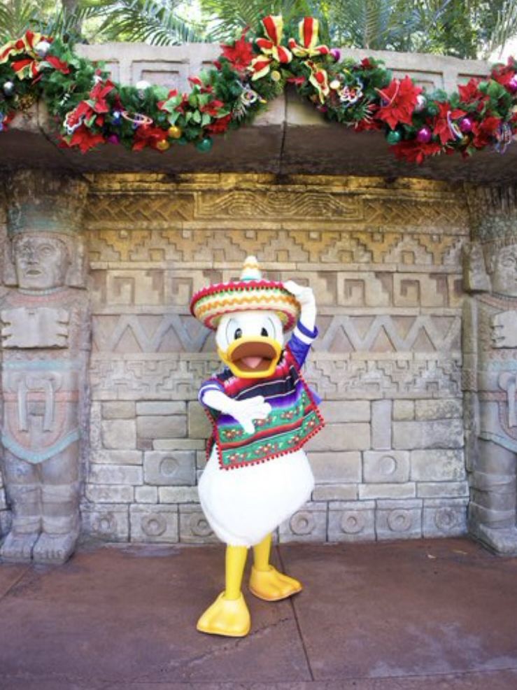 WDW】キャラクターグリーティング EPCOT ドナルド編🦆 | Trip.com