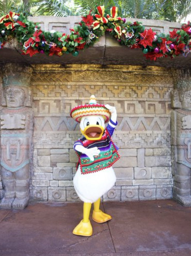 WDW】キャラクターグリーティング EPCOT ドナルド編🦆 | Trip.com