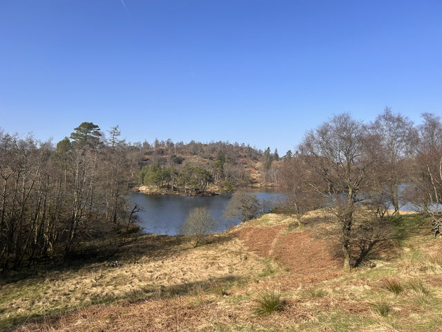 Around the tarn 