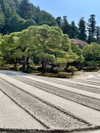 Beautiful Kyoto