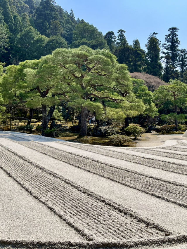 Beautiful Kyoto
