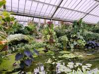 London’s Springtime Magic at Kew Gardens