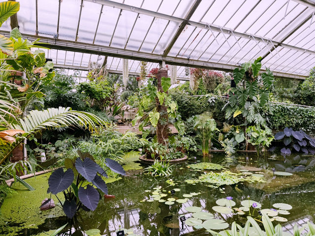 London’s Springtime Magic at Kew Gardens