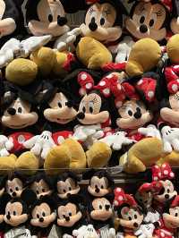 Feel the magic in Disneyland Paris!
