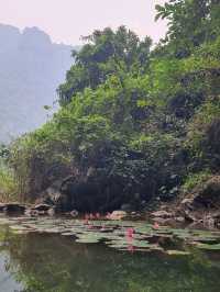 Ninh Binh Trang An 1 day comprehensive itinerary