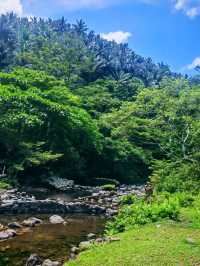 nature Of the Philippines 