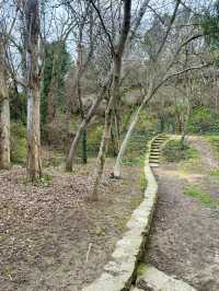 Art, Gardens, and the Segovia Countryside