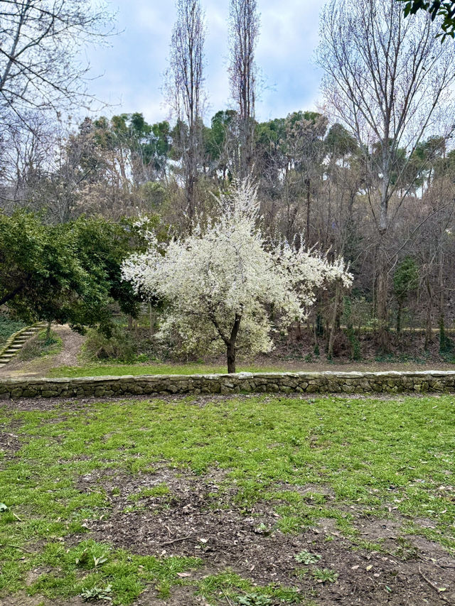 A Walk Like a Painting