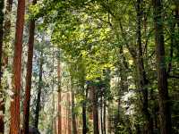🥾 Top Hiking Trails in Yosemite National Park 🌄