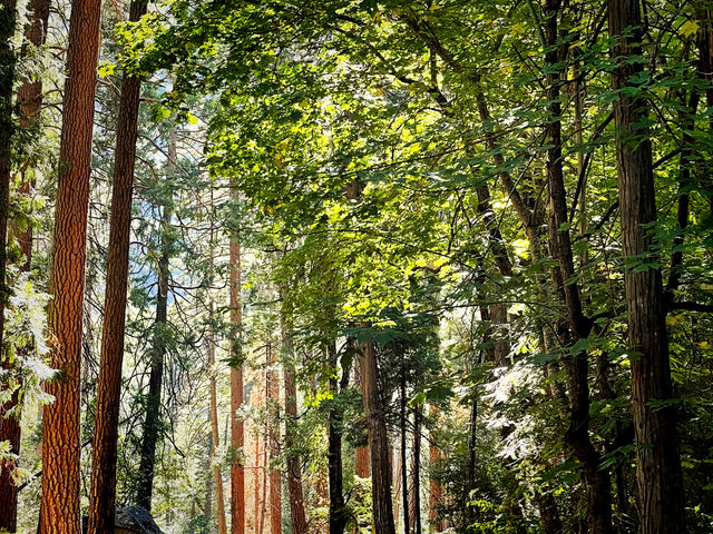 🥾 Top Hiking Trails in Yosemite National Park 🌄