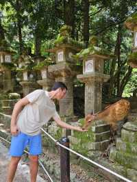 Nara: Sacred Deer and Ancient Wonders