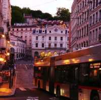 pretty Lyon