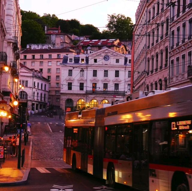 pretty Lyon