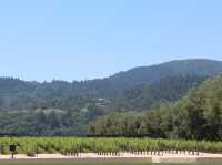 Napa Valley - where the wine is bottled poetry