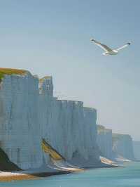 The Majestic White Cliffs: Nature’s Stunning Masterpiece