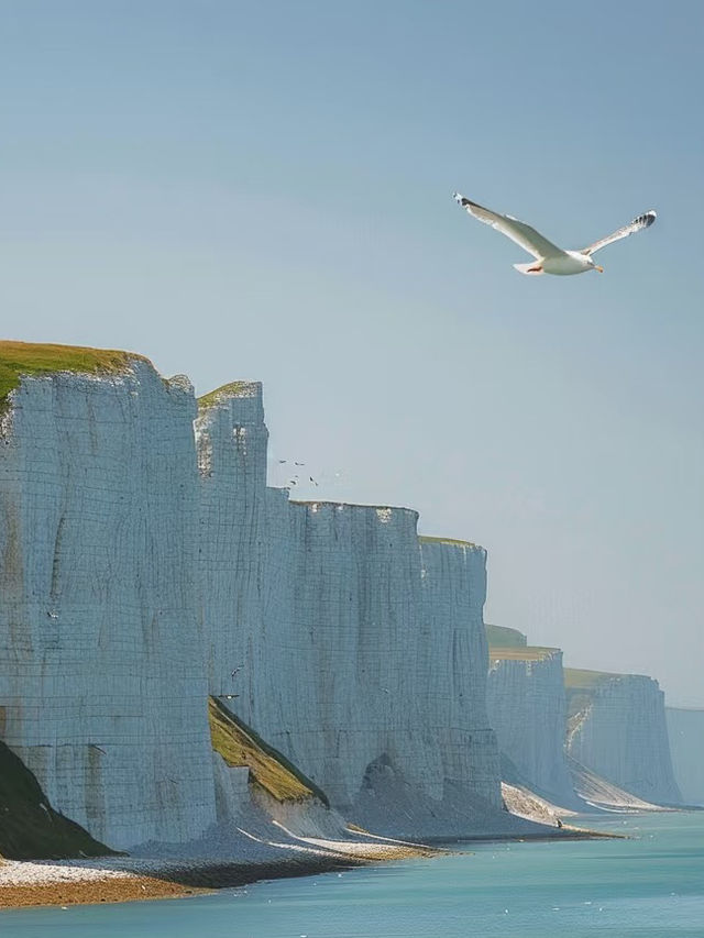 The Majestic White Cliffs: Nature’s Stunning Masterpiece