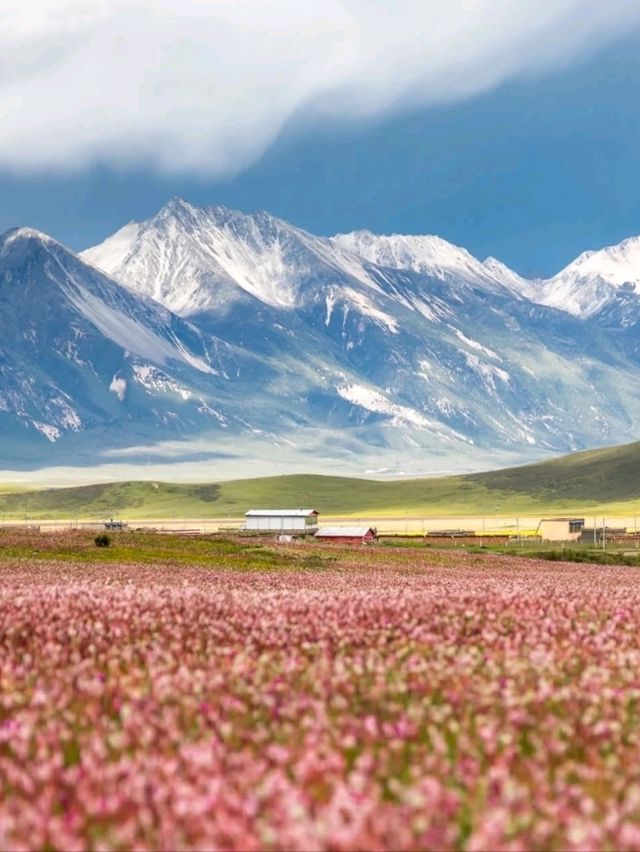 🏔️ Sacred Peaks and Sky Reflections – Yala National Park, Sichuan