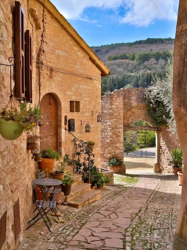  Whispers Among the Olive Trees – Collepino, Italy