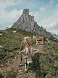 A week in Dolomites, Italy 🇮🇹⛰️