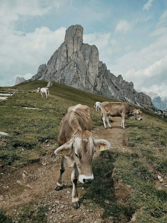 A week in Dolomites, Italy 🇮🇹⛰️