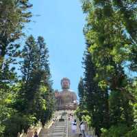🌟 Discover the Majesty of the Big Buddha in Hong Kong! 🇭🇰🧘‍♂️