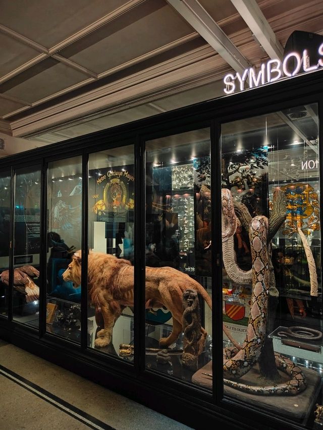 Bones Above, Beasts Within: A Walk Through Manchester Museum’s Natural History Wing Bones Above, Beasts Within: A Walk Through Manchester Museum’s Natural History Wing