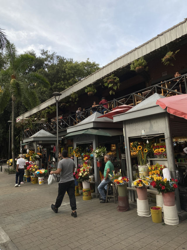 Medellin and Bogota are serving serious vibes!