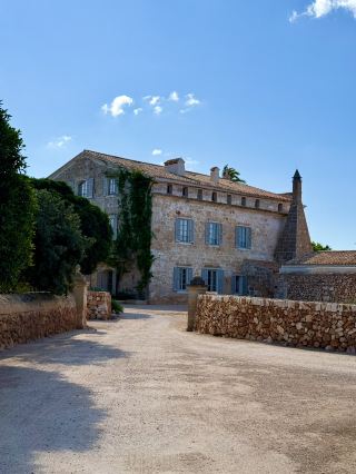 Nature Meets Design🌳