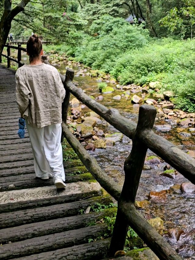 Как Увидеть парк Аватар без толп!