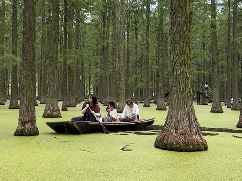 揚州の隠れた名所 - 「抹茶の湖」こと渌洋湖湿地公園 。 | Trip.com 揚州
