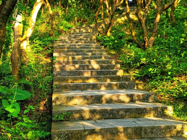 Hilltop Haven in Bao'an 🌳🌸🏞️