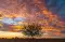 vance_3143