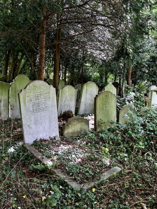 Highgate Cemetery - London  