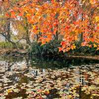 蘇州の紅葉の名所といえば「天平山」