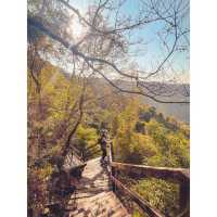Hiking paradise｜Complete the Ngong Ping Trail in 4 hours!