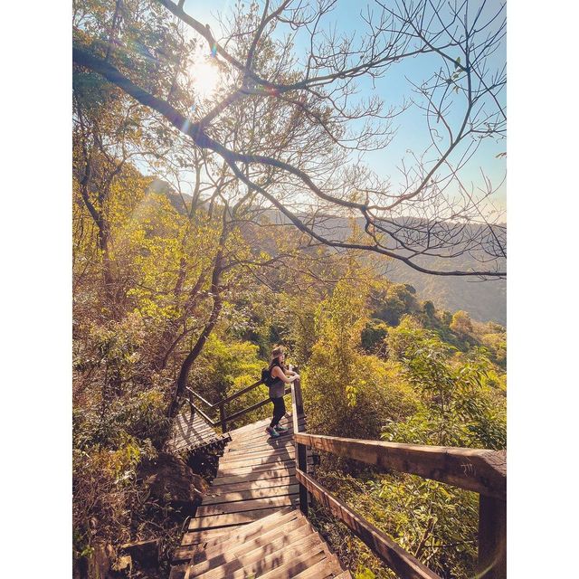 Hiking paradise｜Complete the Ngong Ping Trail in 4 hours!