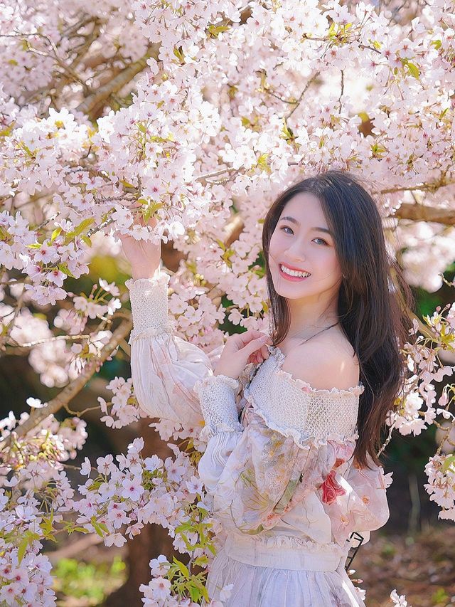 "March" San Francisco cherry blossom photo shoot~ This is how you do it!!