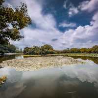 Kunming’s Green Wonder!