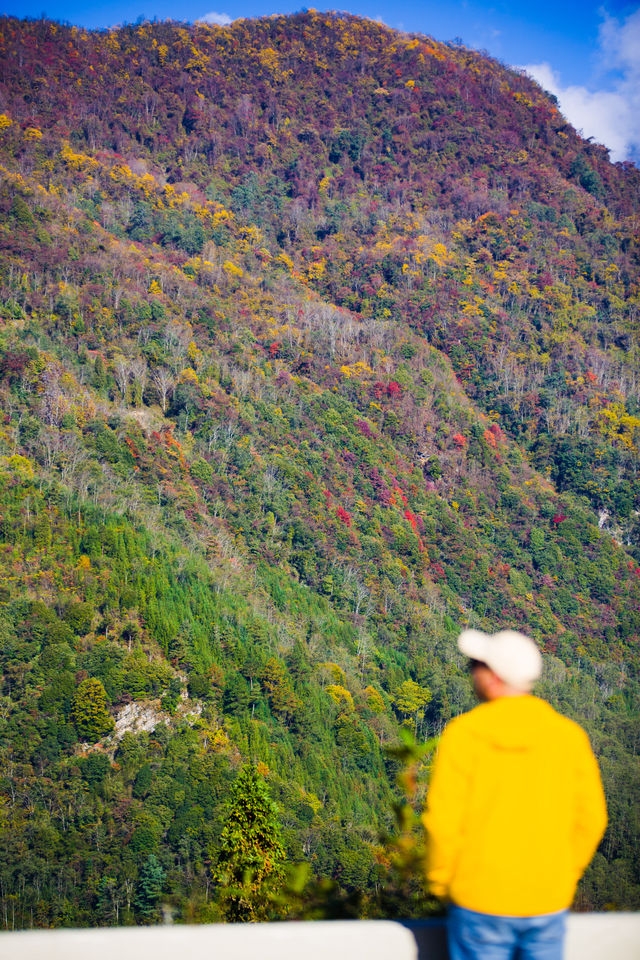 鄧池溝