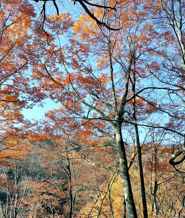 光霧山之米倉山景區