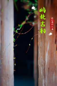 初冬的嶼北,在質樸之外,是斑斕的色彩